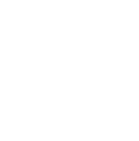 CAB Motors